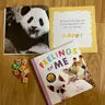 Feelings and Me Picture Book (Julie Dini, Educational Psychologist)