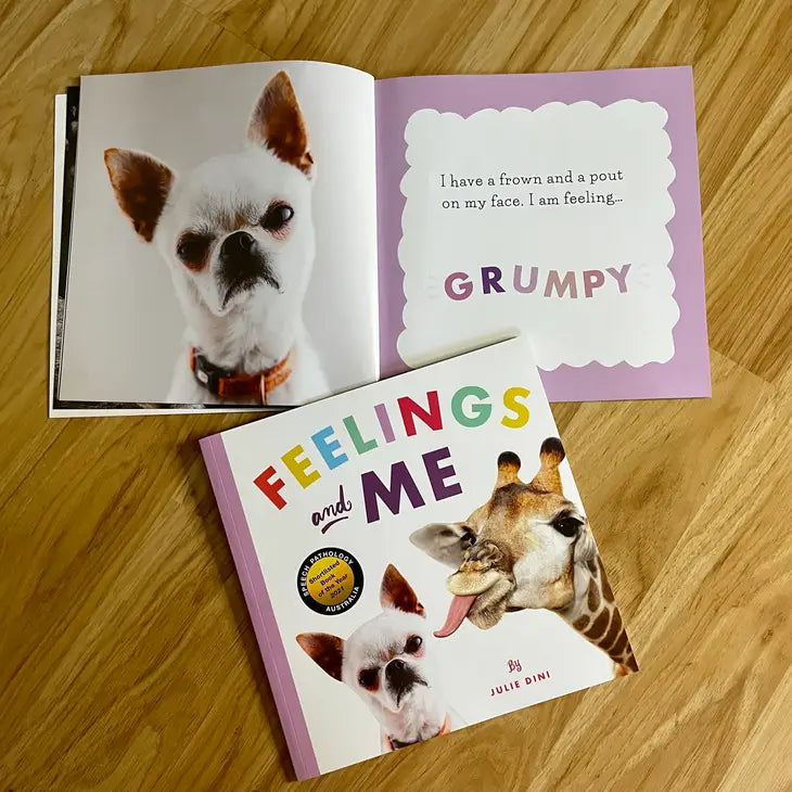 Feelings and Me Picture Book (Julie Dini, Educational Psychologist)