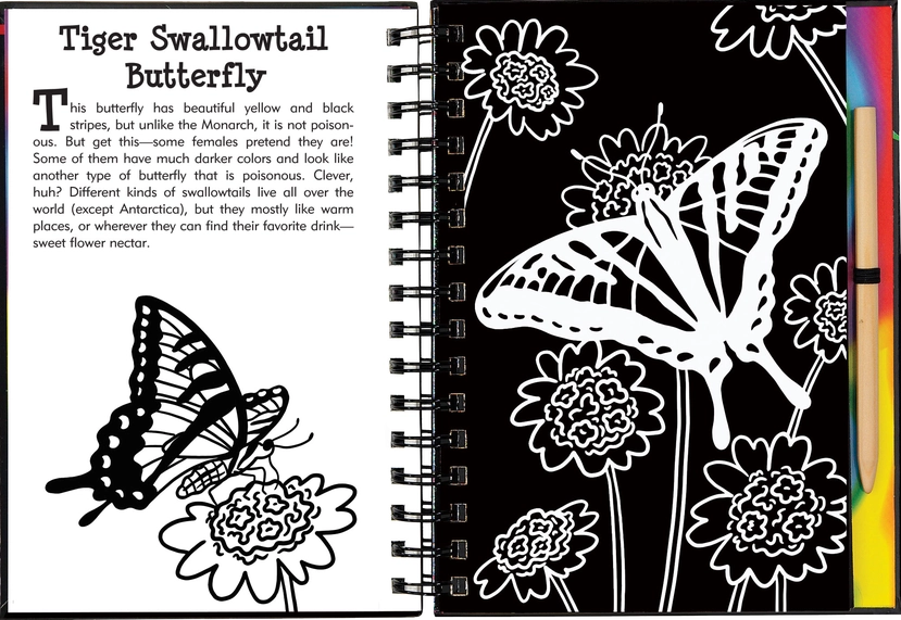 Scratch & Sketch™ Butterflies & Friends (Trace Along)
