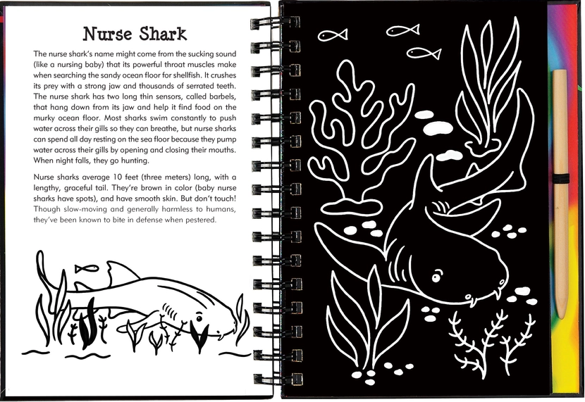 Scratch & Sketch™ Sharks (Trace Along)