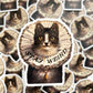 "Stay Weird Kitty" Sticker